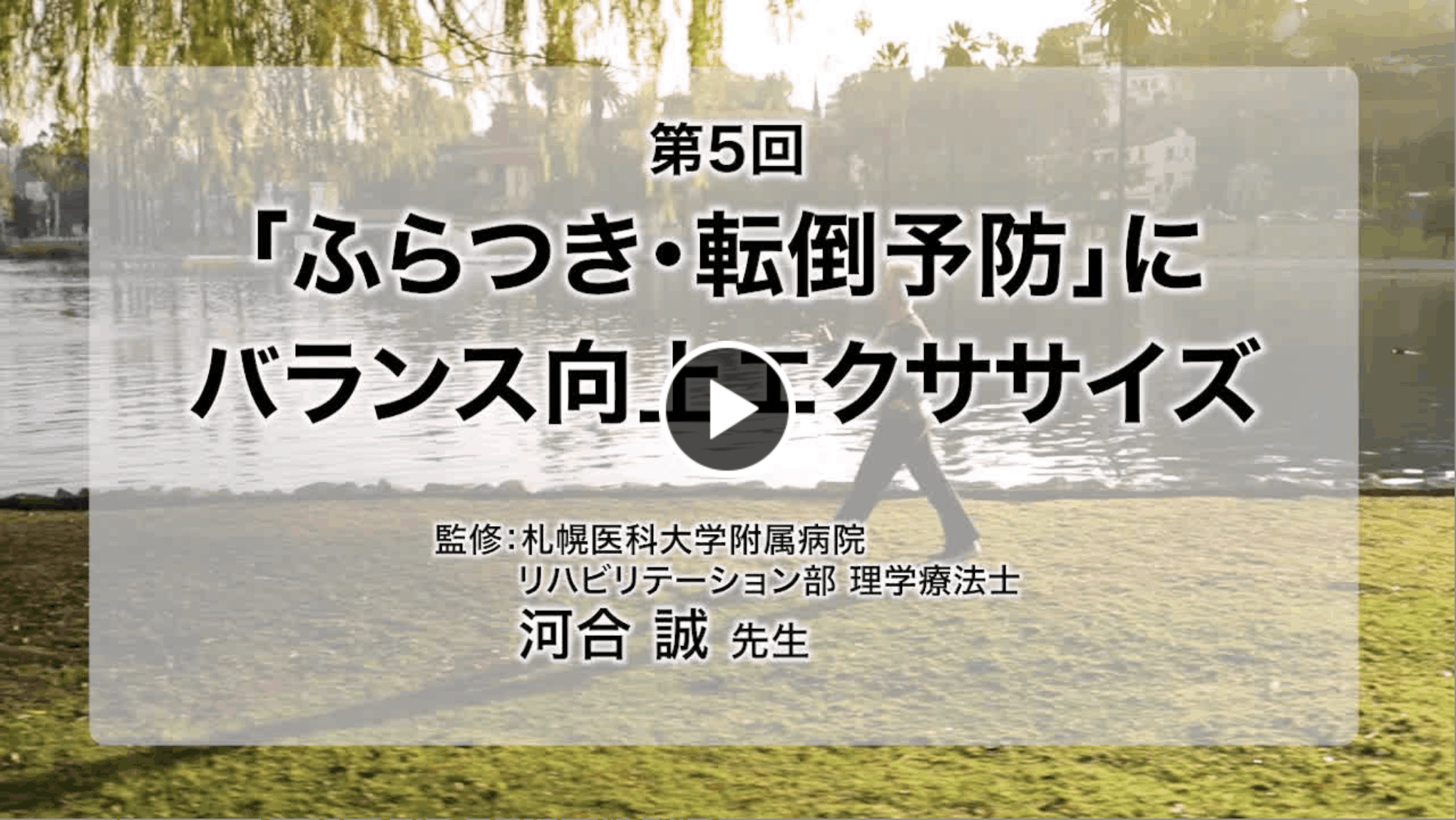 video 5