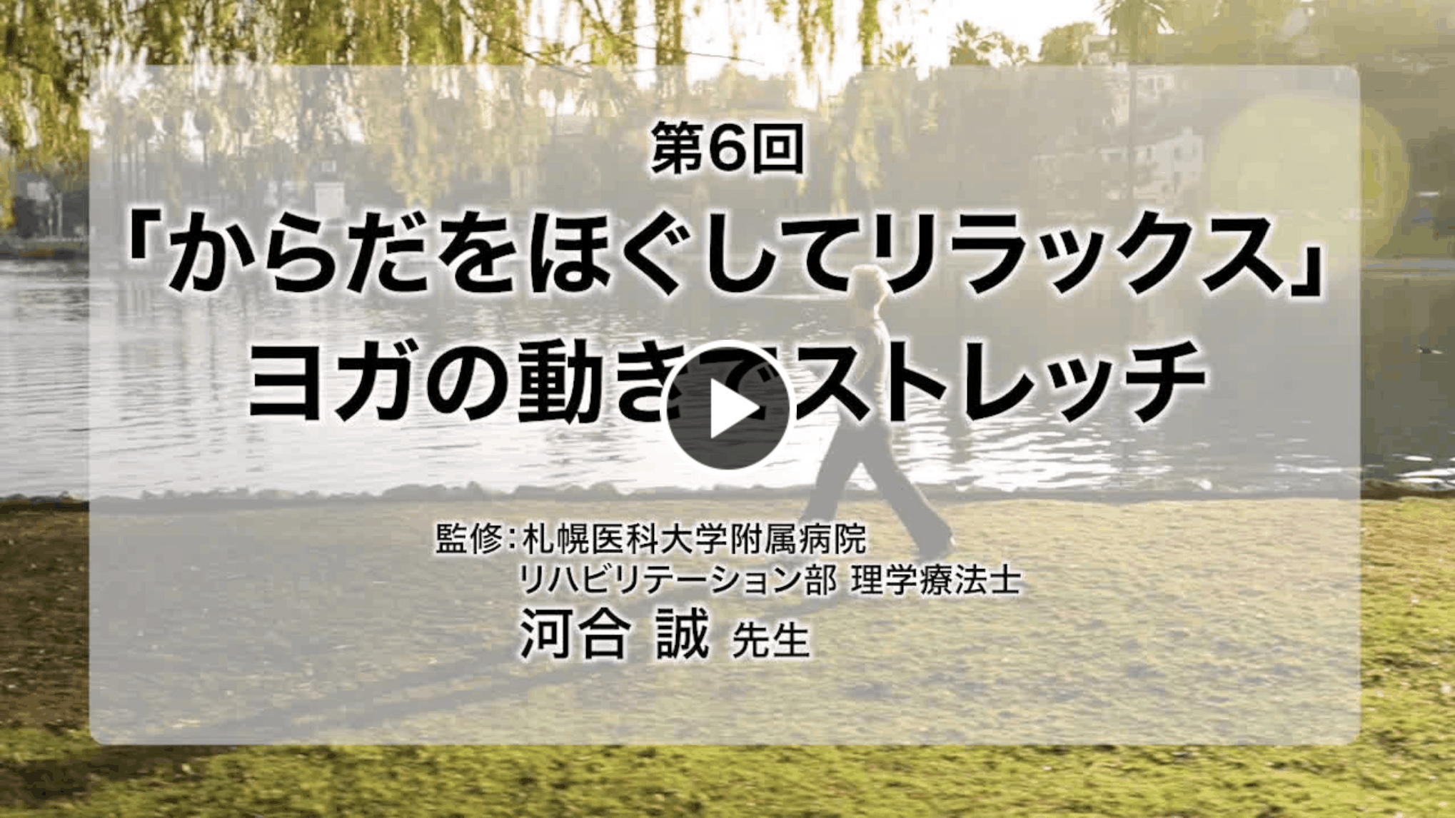 video 6
